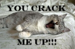 you-crack-me-up