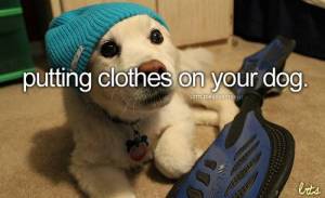 359668-dogs-putting-clothes-on-a-doggie.png