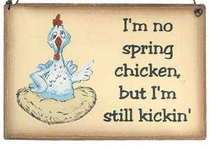 im_no_spring_chicken_wooden_sign